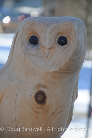 Chainsaw-Carvers-1007