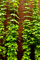100603_3CS2586