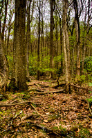 26-Great_Allegheny_Passage