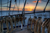 110207DSC_1271H