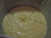 Willett_Distillery-7909