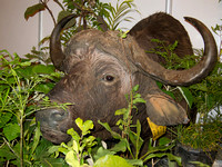 111012IMG_0431