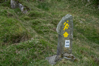 Sheepshead-3065