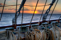 110207DSC_1289H