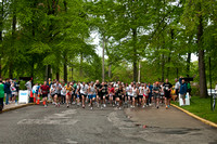 100502_3CS8833