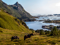 Norway to sort