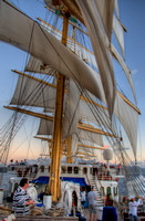 110207DSC_1379H