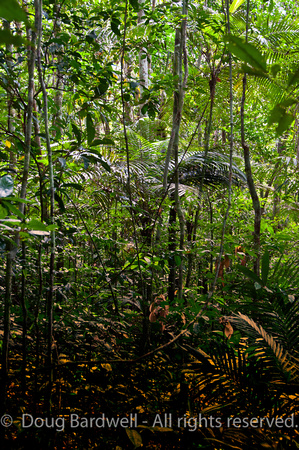 110627_DSC7469-PS-PS
