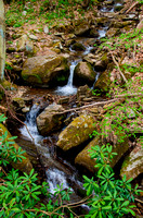 55-Great_Allegheny_Passage
