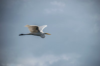 Lake-Toho-9213