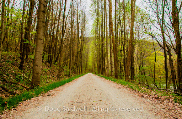 40-Great_Allegheny_Passage