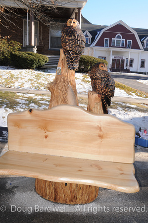 Chainsaw-Carvers-1017