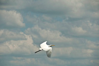 Myakka River State Park