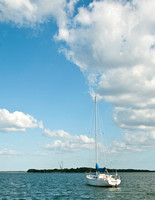Sarasota Bay