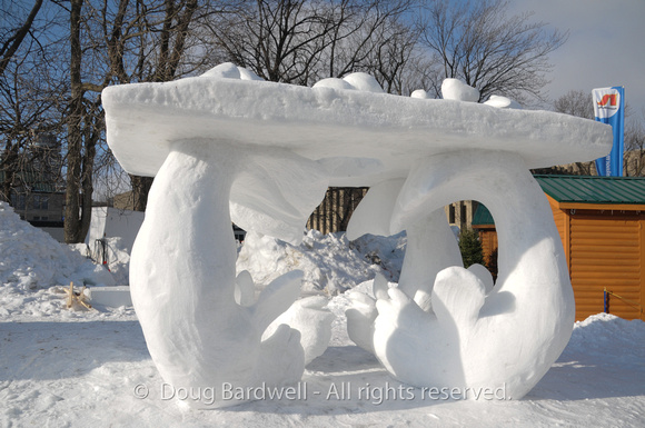 Quebec_Winter_Carnival-8285