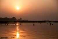 Nal Sarovar-9009