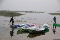 Nal Sarovar-8950