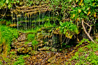 Butler_County-214