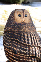 Chainsaw-Carvers-1018